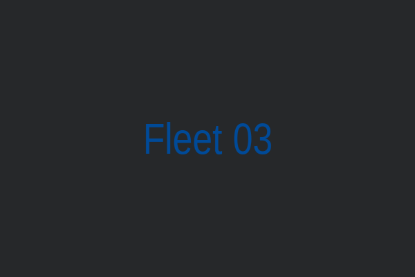 Auto Movers Express fleet vehicle 3