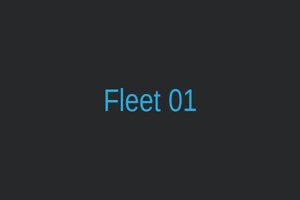 Auto Movers Express fleet vehicle 1
