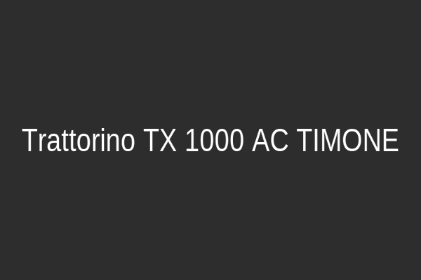 Trattorino TX 1000 AC TIMONE