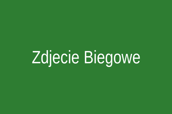 Plany biegowe online