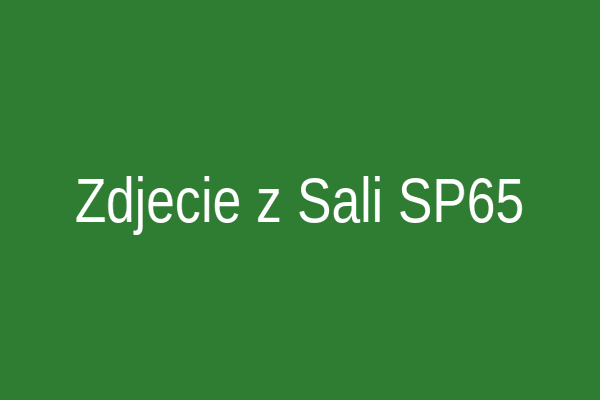 Zajęcia grupowe SP65