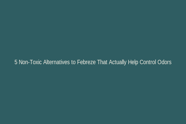 5 Non-Toxic Alternatives to Febreze That Actually Help Control Odors