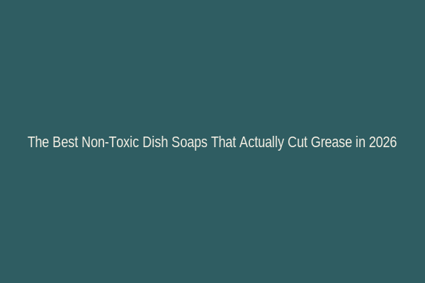 The Best Non-Toxic Dish Soaps That Actually Cut Grease in 2026