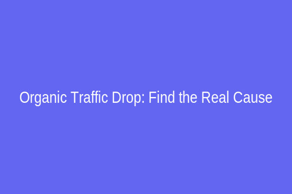 Organic Traffic Drop: Find the Real Cause