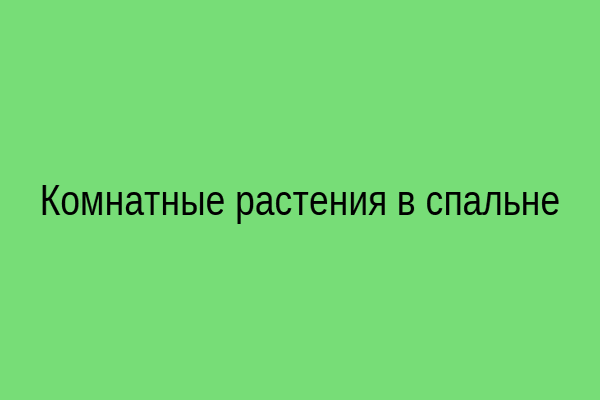 Комнатные растения в спальне
