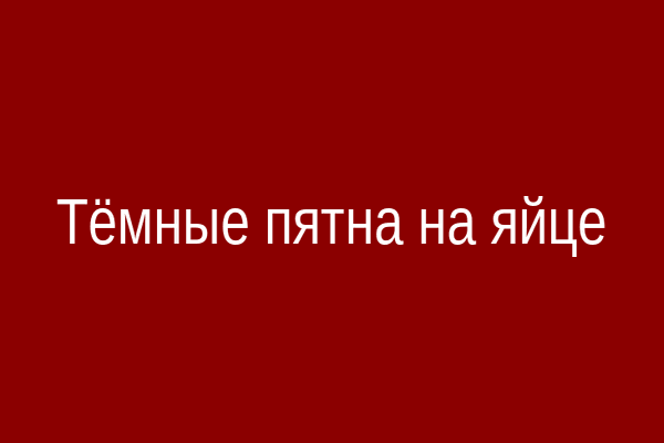 Тёмные пятна на яйце