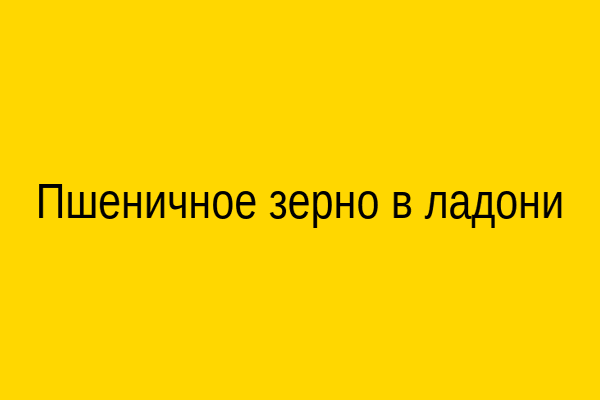 Пшеничное зерно в ладони