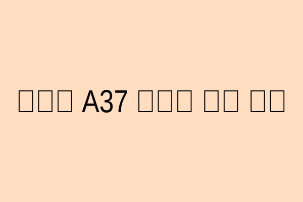 갤럭시 A37 카메라로 찍은 사진 예시 이미지