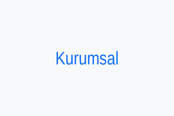 Kurumsal