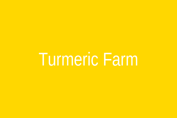 Turmeric Farm