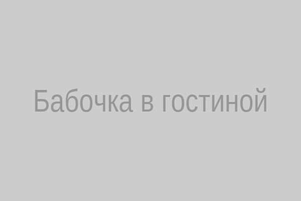 Бабочка в гостиной – предвестник перемен