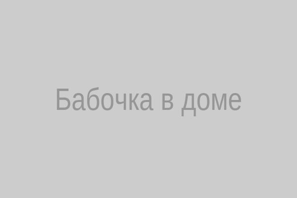 Бабочка, прилетевшая в дом