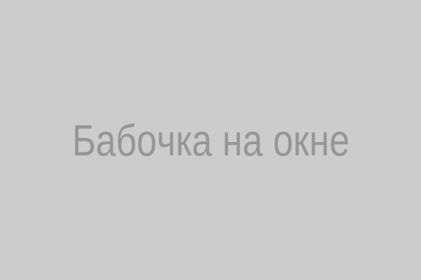 Бабочка на окне – символ новых возможностей