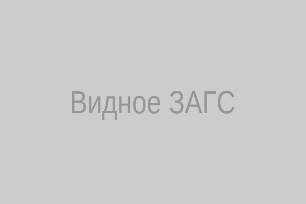 Видное ЗАГС