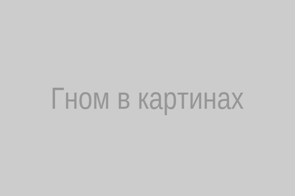 Гном в картинках