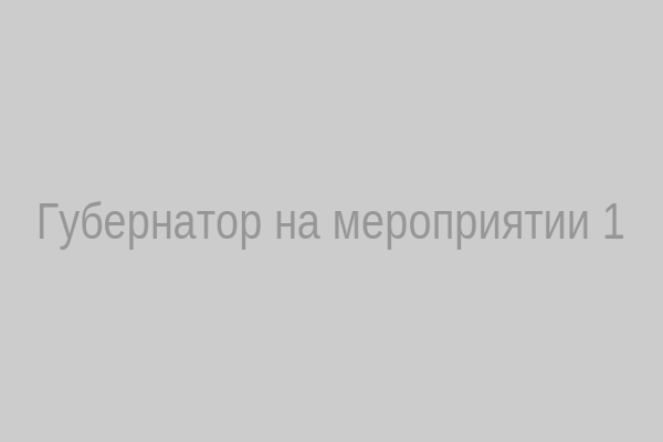 Губернатор на мероприятии 1
