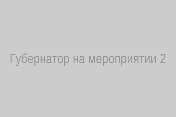 Губернатор на мероприятии 2