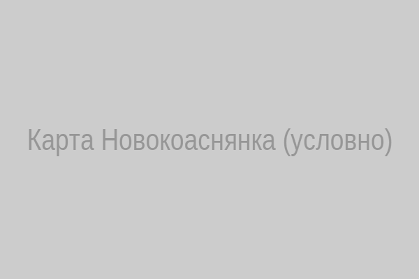 Условная карта Новокоаснянки
