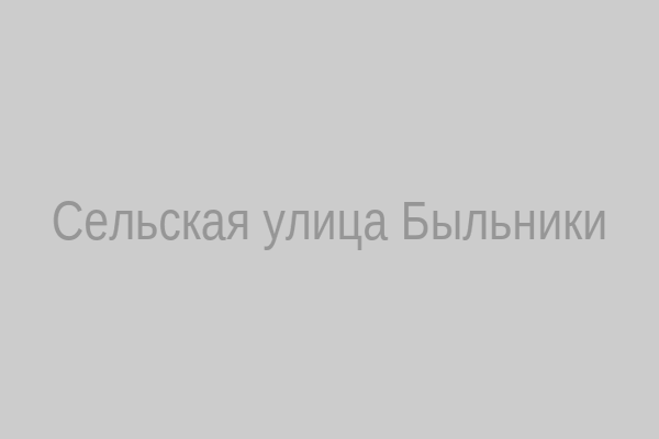 Улица в Быльниках