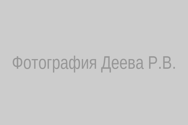Деев Роман Владимирович