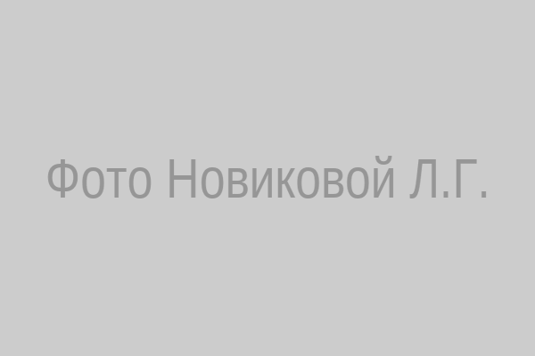 Новикова Людмила Геннадьевна