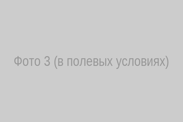 Андрей Баринов в полевых условиях