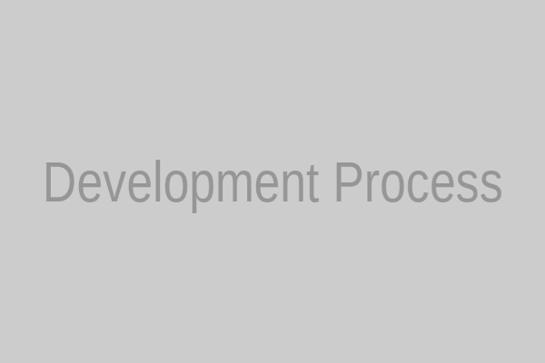 Development Process