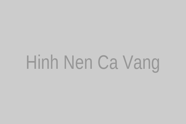Cá vàng làm hình nền máy tính và điện thoại