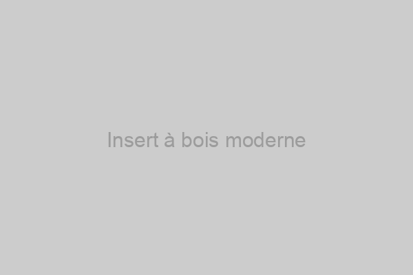 Insert à bois moderne