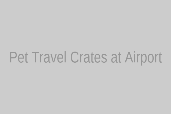 A row of airline-approved pet travel crates at an airport terminal