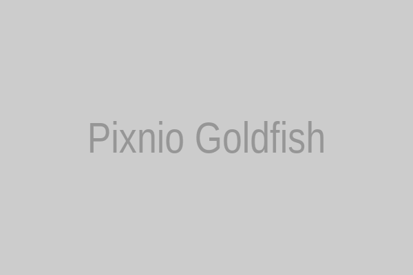 Bộ sưu tập ảnh cá vàng chất lượng cao trên Pixnio