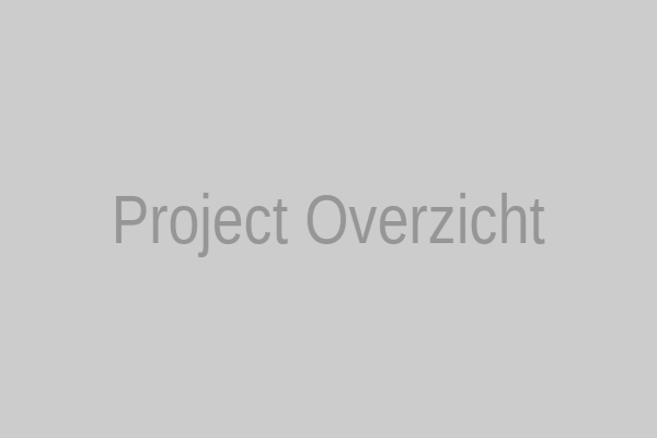Projecten
