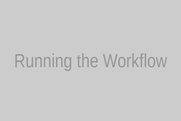 Running the Workflow