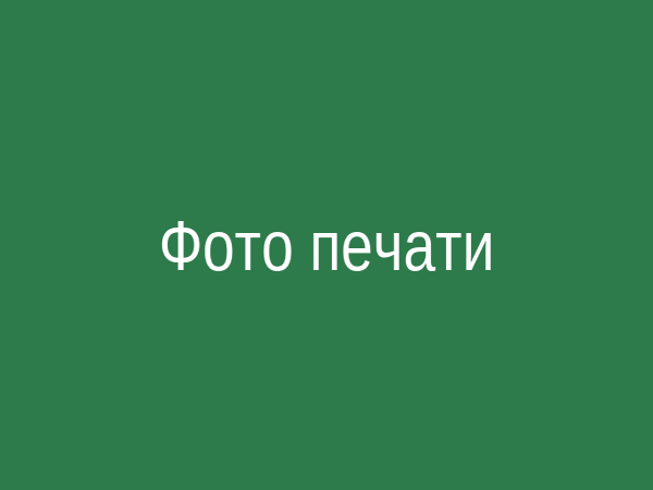 Печать логотипа