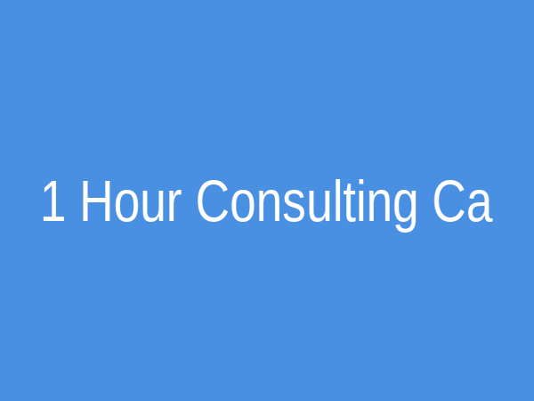 1 Hour Consulting Call