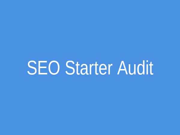 SEO Starter Audit