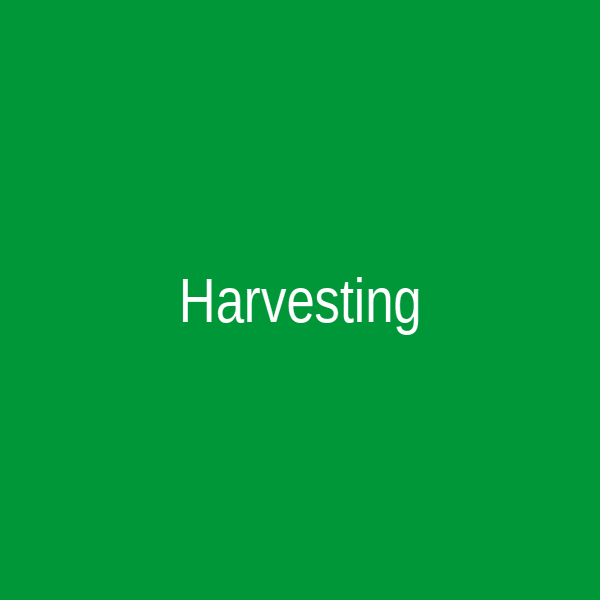 Harvesting Video