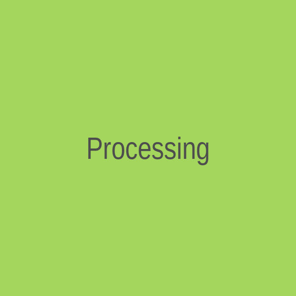 Processing Video