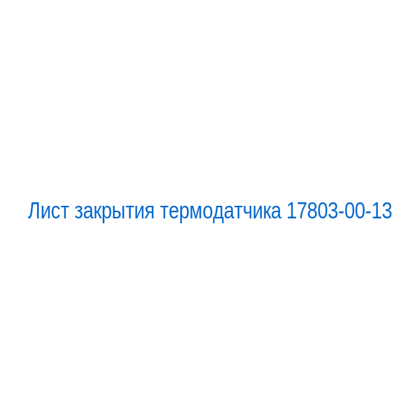 Лист закрытия термодатчика 17803-00-13
