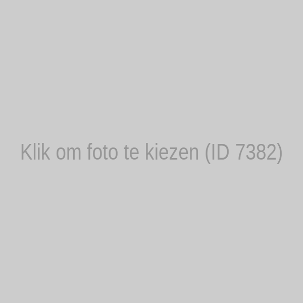 Aanvraag Bedrijfsbezoek Sinterklaas