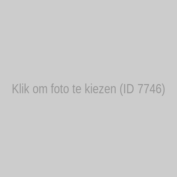 Scholenbezoek Sinterklaasbureau