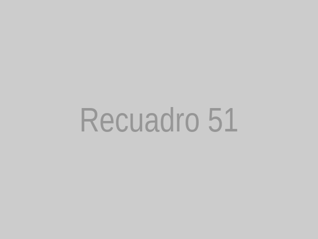 Imagen 51