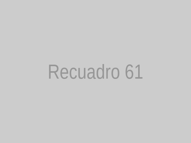 Imagen 61