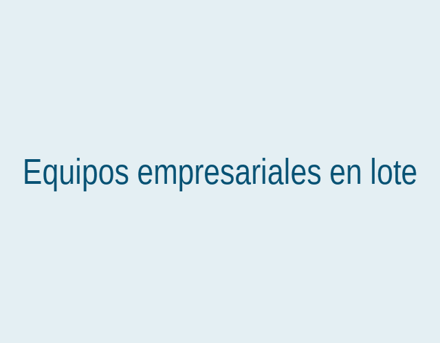 Equipos empresariales en lote