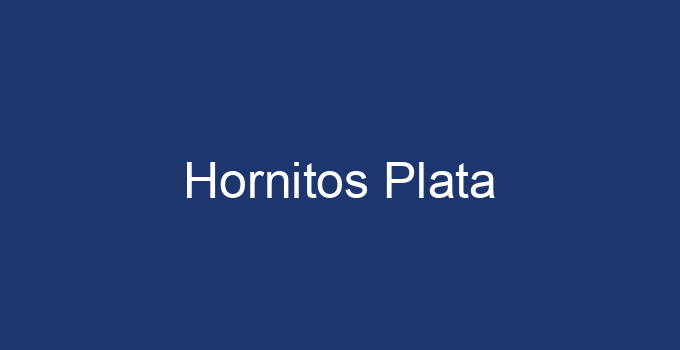 Hornitos Plata tequila bottle