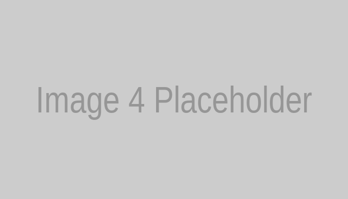 Placeholder for Image 4; original content details were not provided.