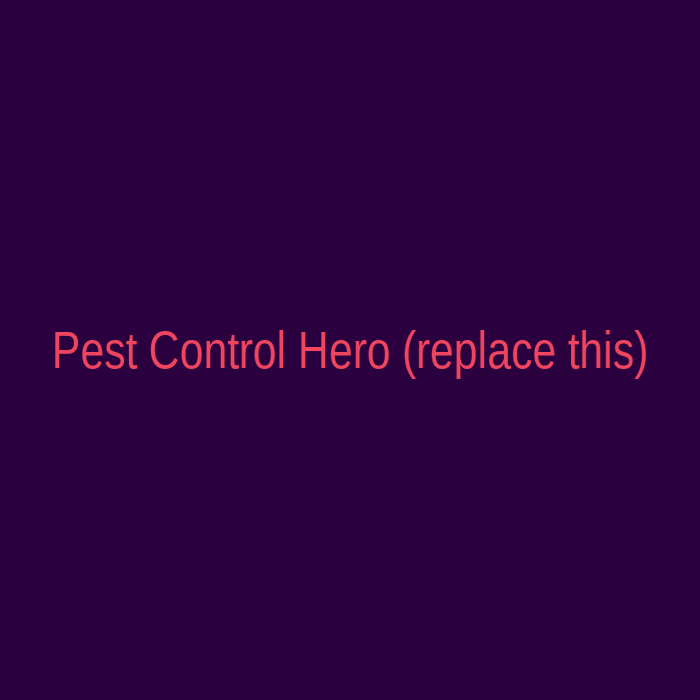 Pest control marketing agency UK — Google Ads lead generation