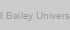 Bill Bailey University