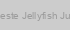 Celeste Jellyfish Jump