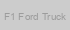 F1 Ford Truck